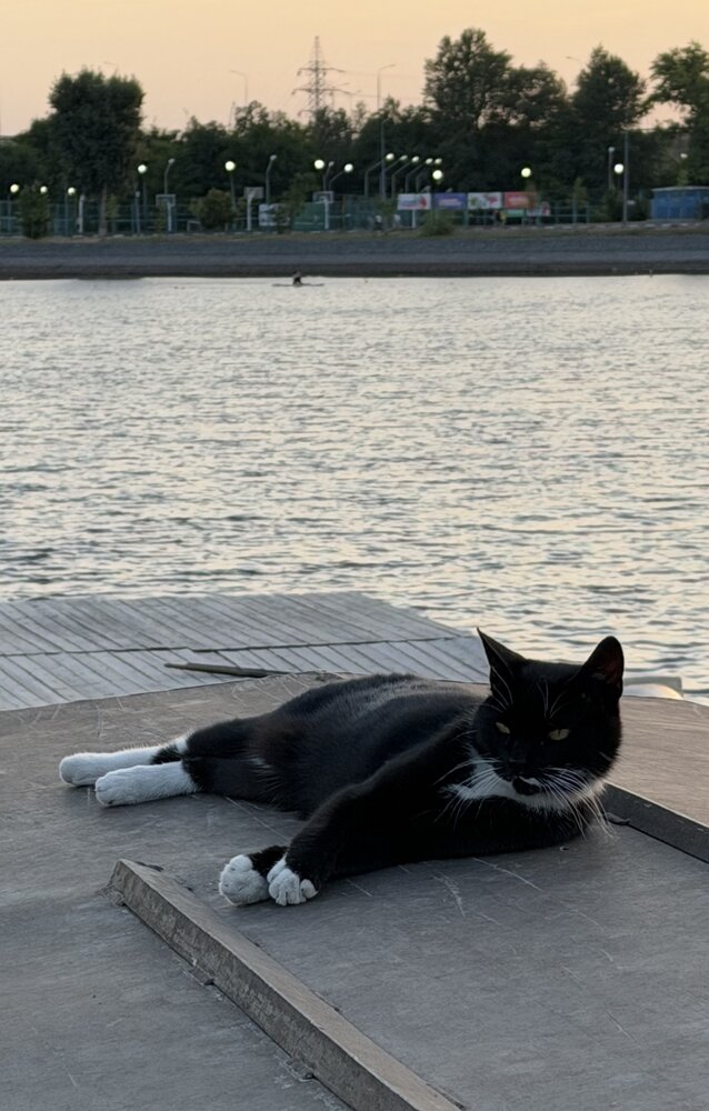 Photograph by Юлия