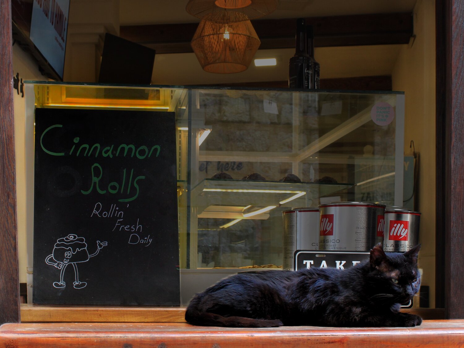 Photo #14029567