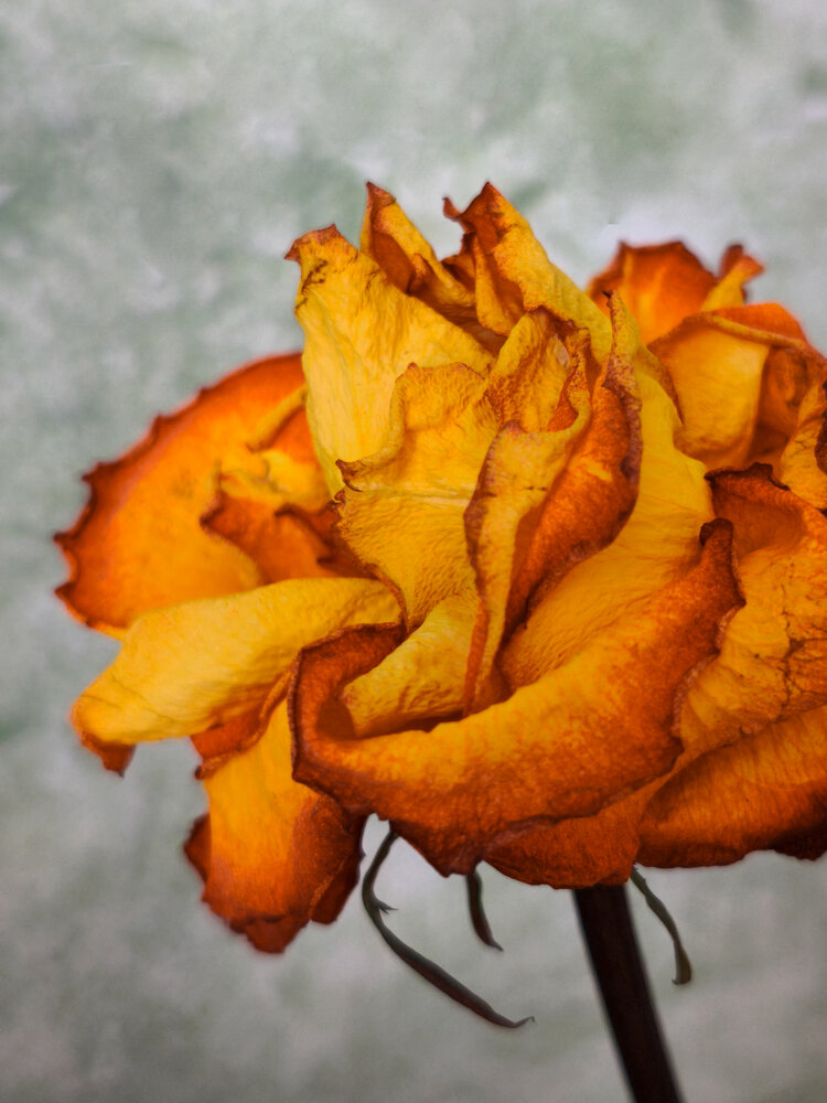 Photograph by Наталья Веселкина
