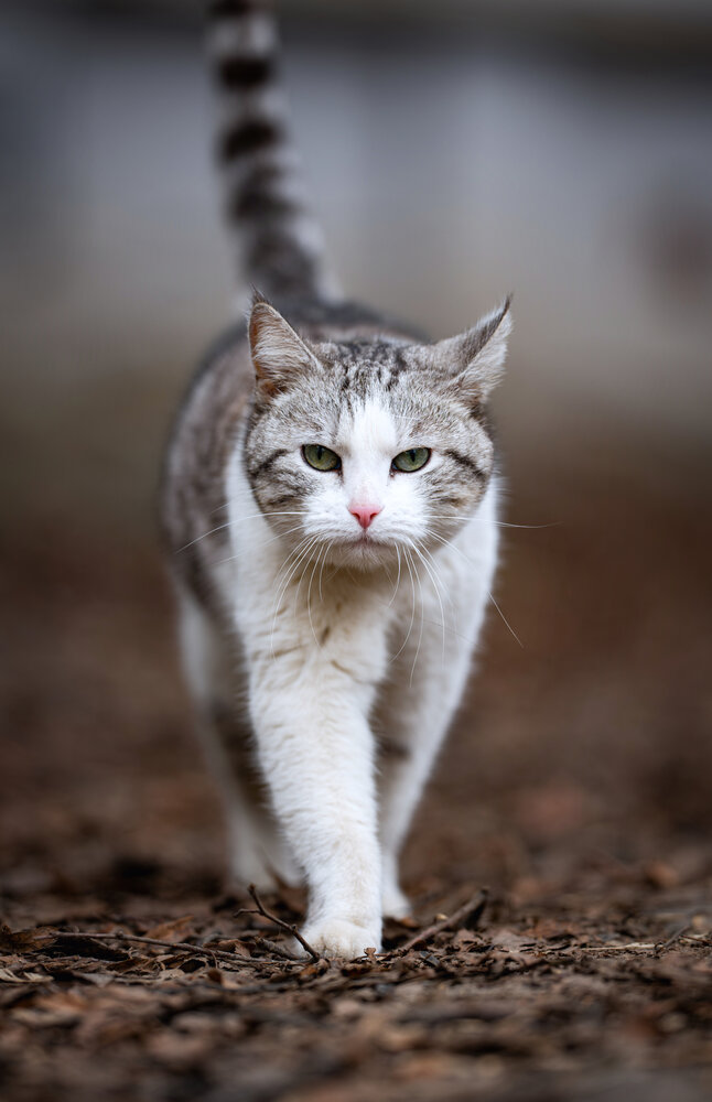 Photograph by Леша Родин