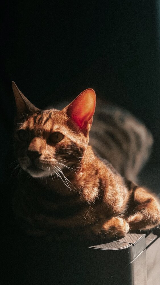 Photograph by Евгения Остроумова