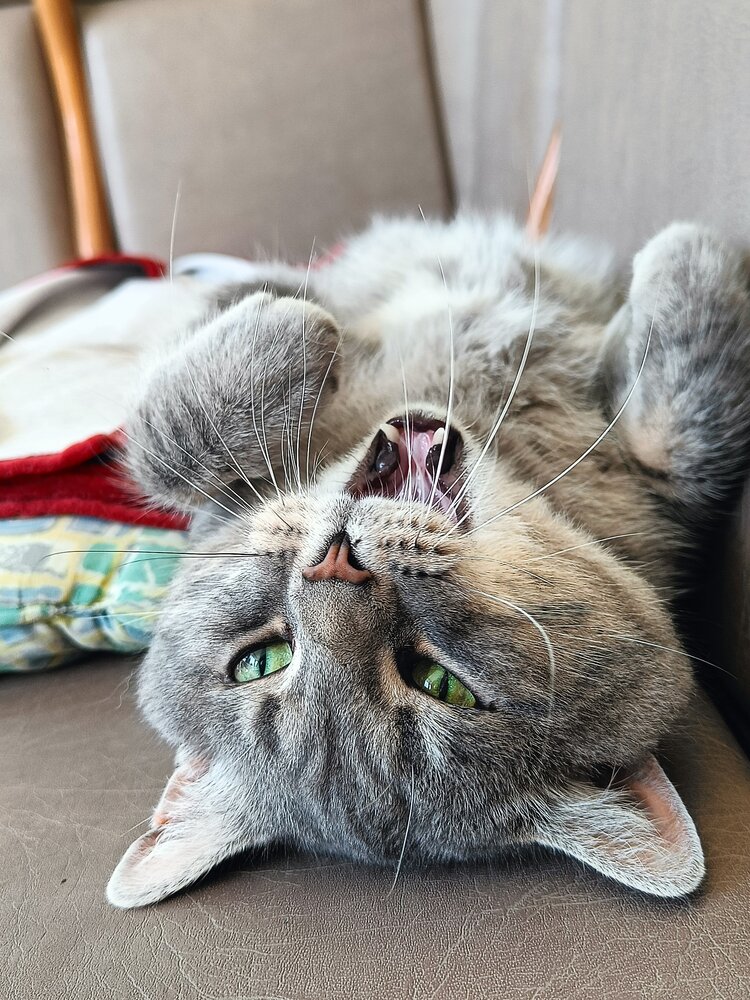 Photograph by Оксана Нифонтова