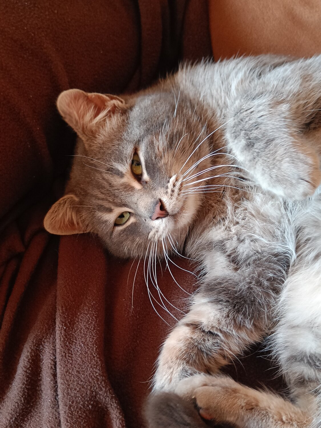 Photo #14029686