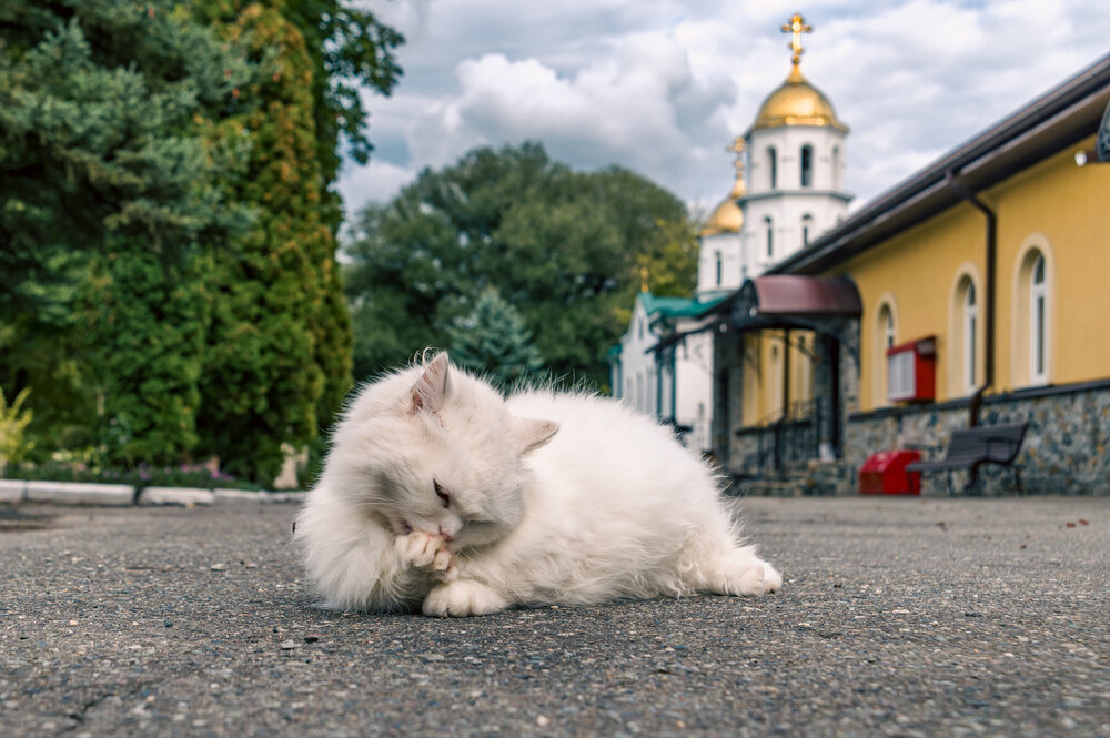Photograph by MAXIM BONDAREV
