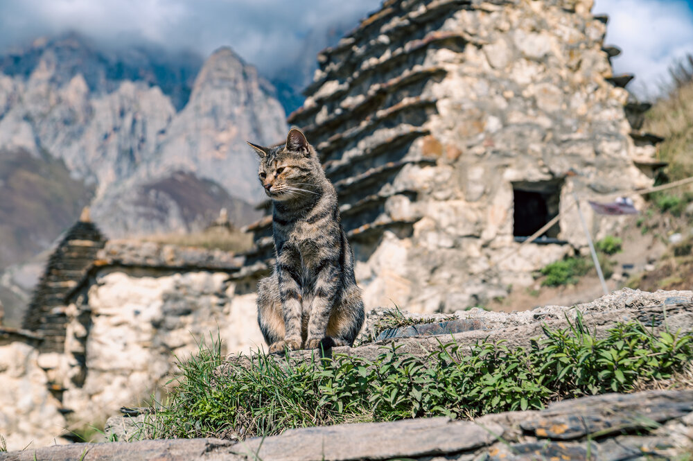 Photograph by MAXIM BONDAREV