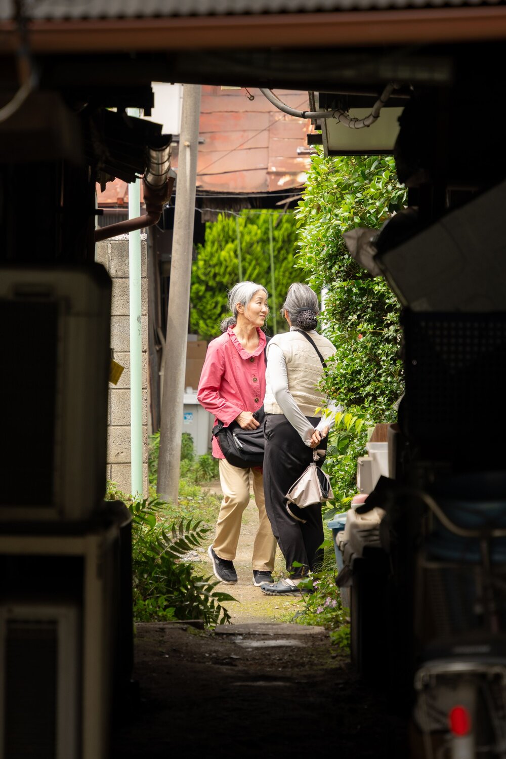 Photo #14029725