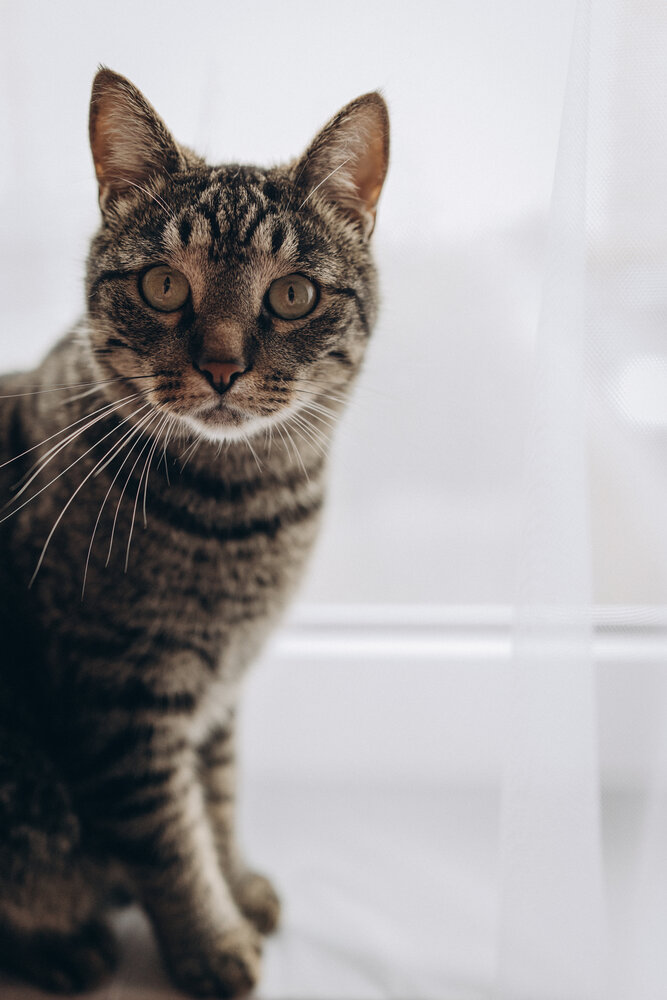 Photograph by Елена Копылова