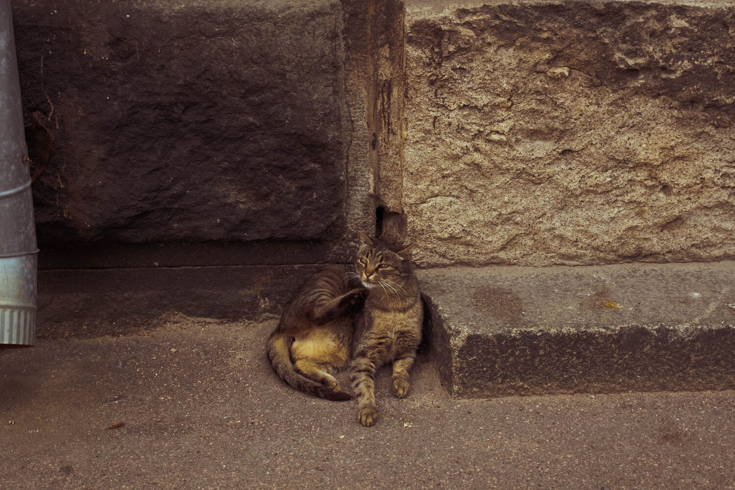 Photo #14029758