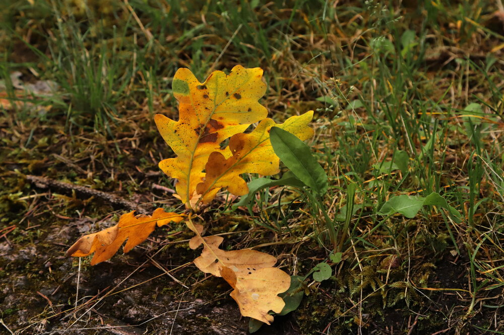 Photograph by Лада Денисова