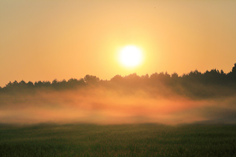 Photograph by Николай Протасеня