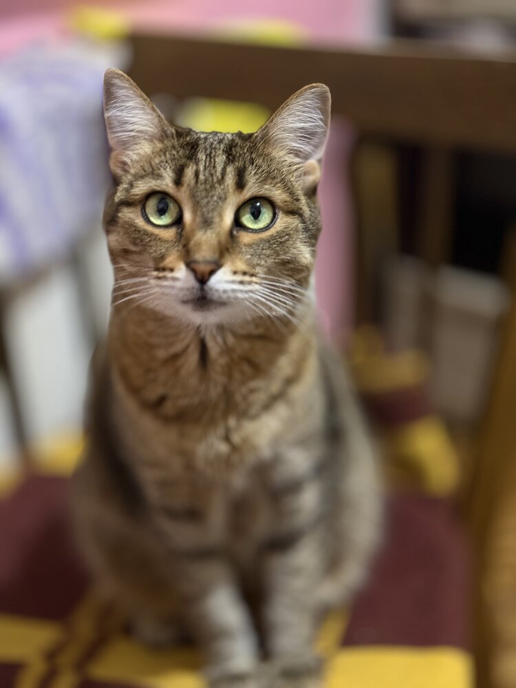 Photograph by Евгений Петров