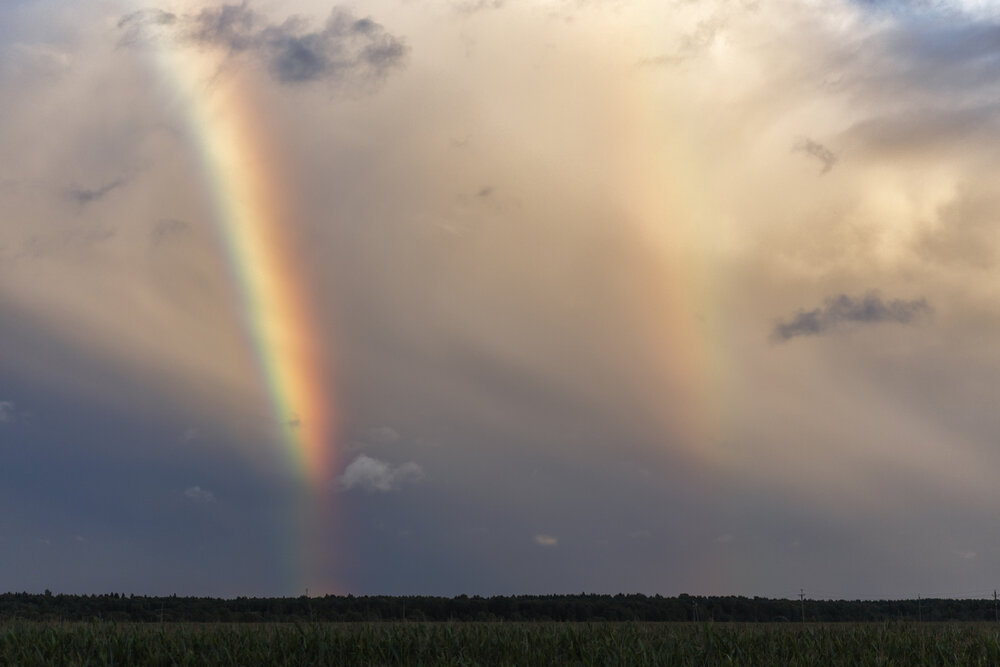 Photograph by Владимир Портуаров