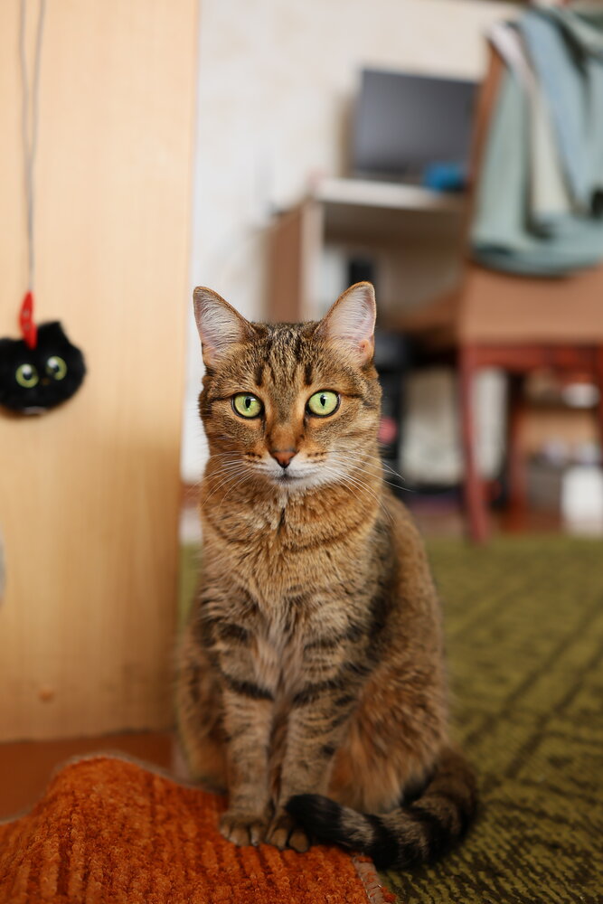 Photograph by Евгений Петров