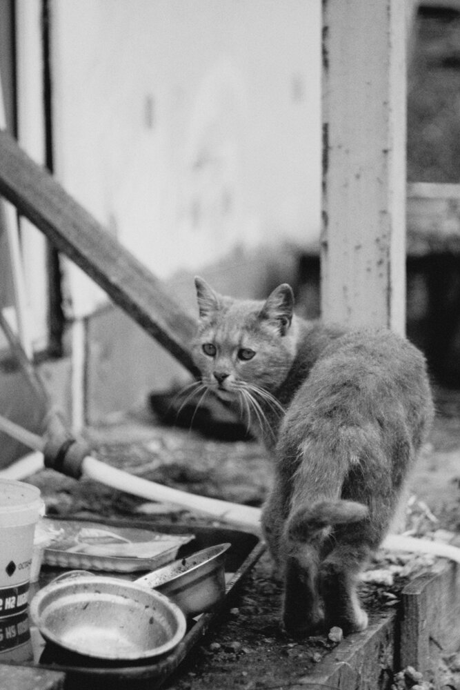 Photograph by Александра Бусарова