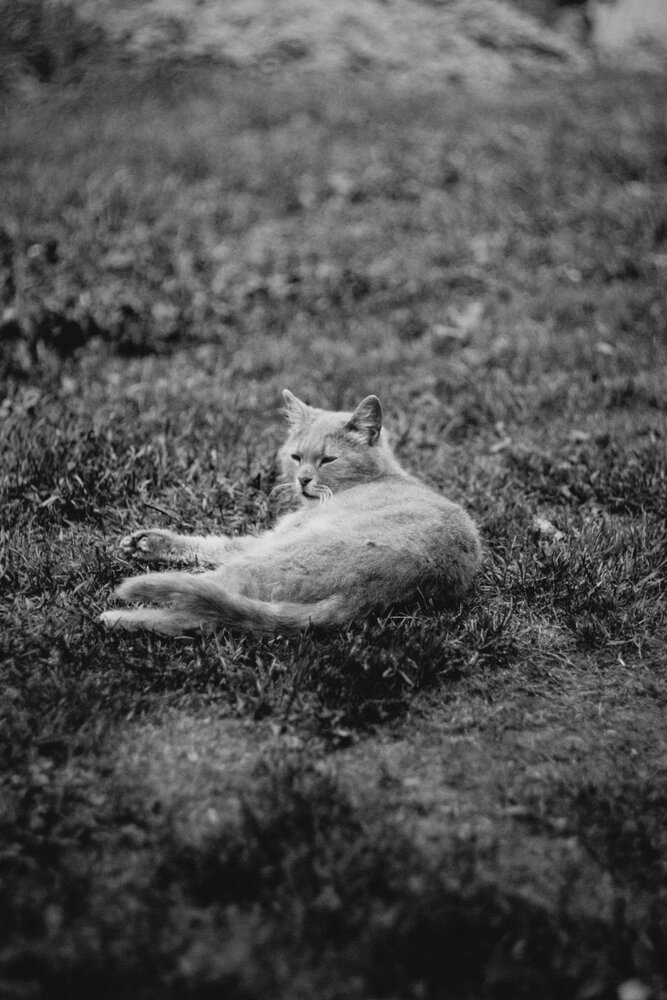 Photograph by Александра Бусарова