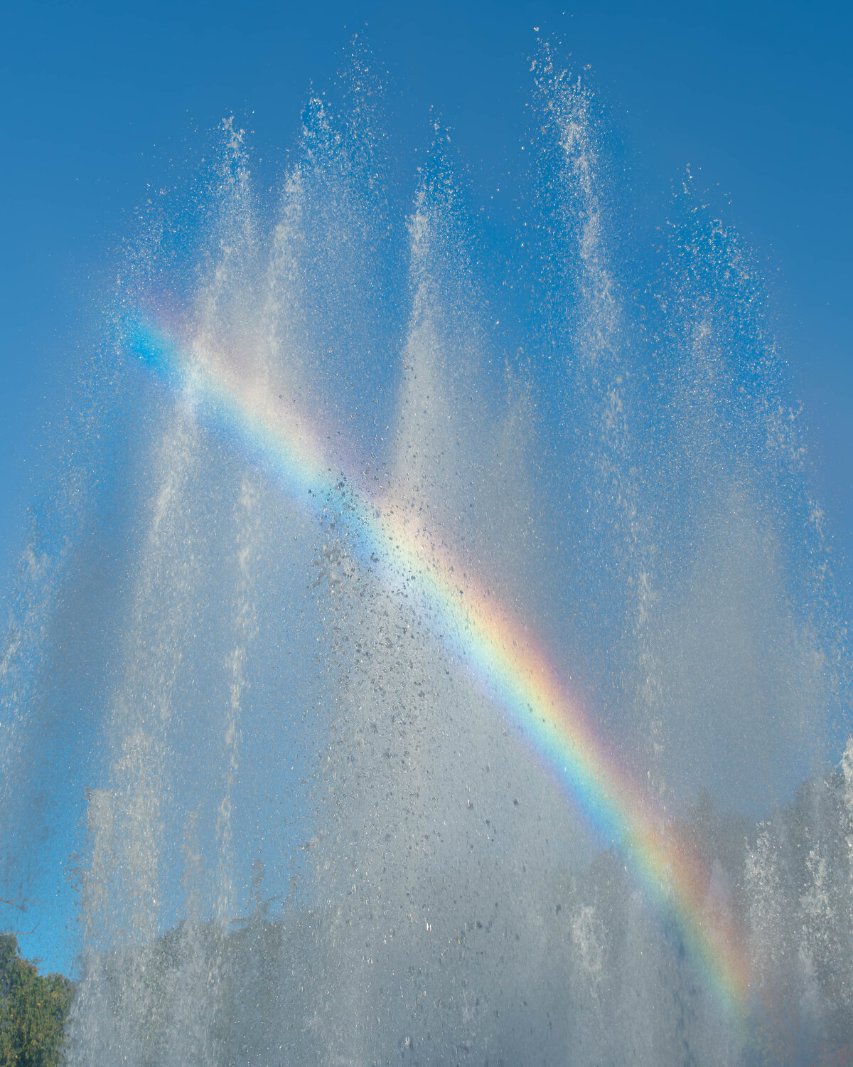 Photo #14029829