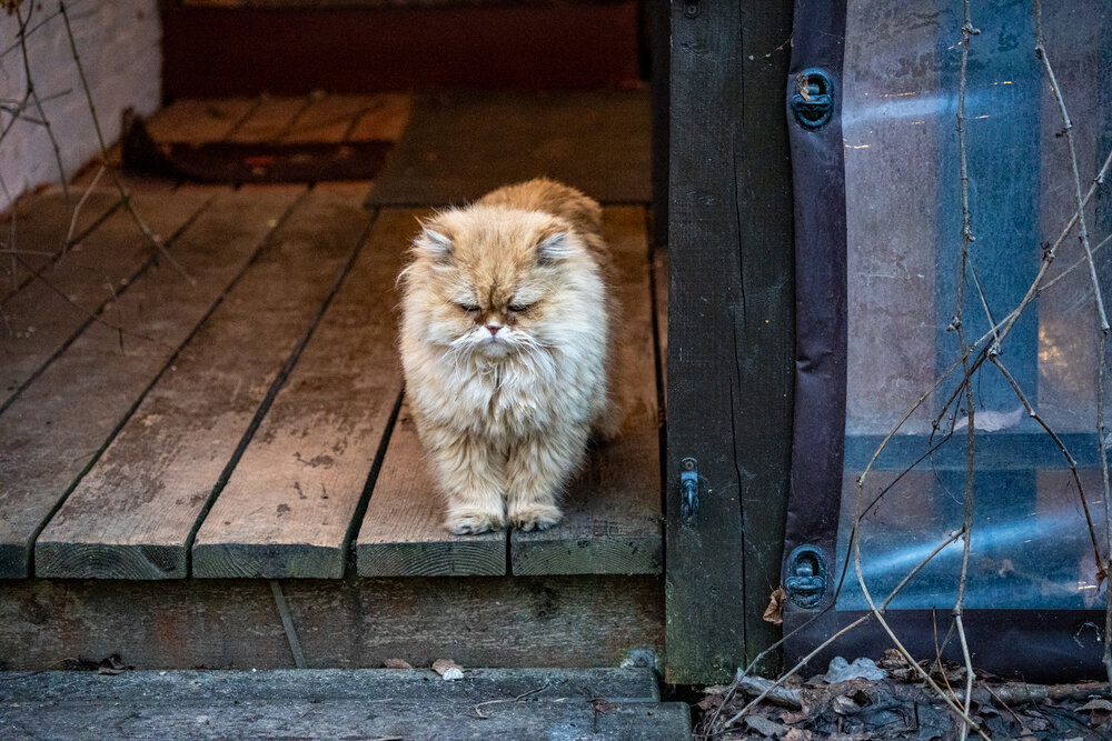Photograph by Андрей Соколов