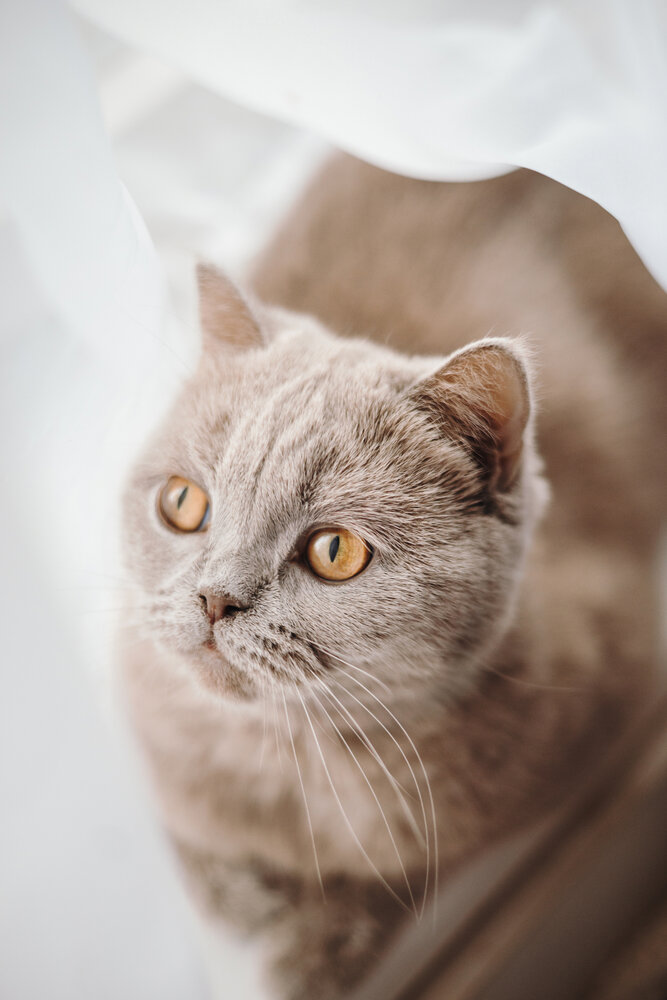 Photograph by Екатерина Воронина