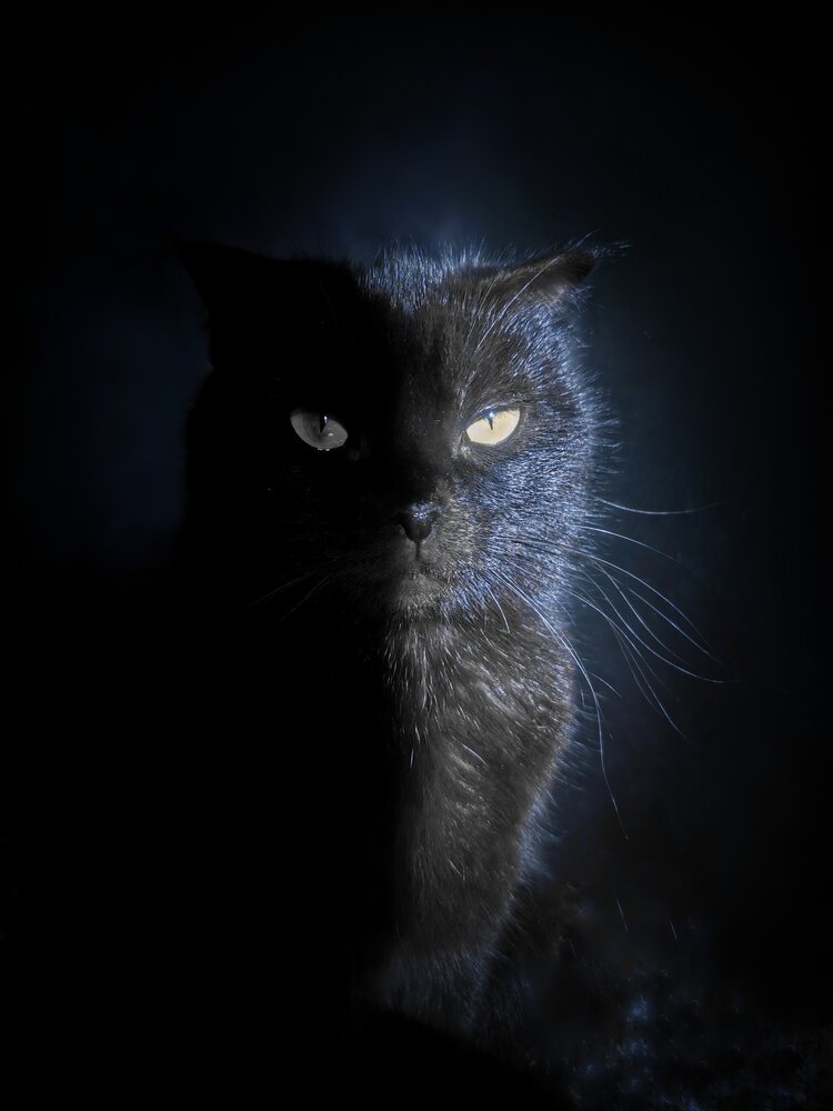 Фотография автора Марина-Алекс Марахова