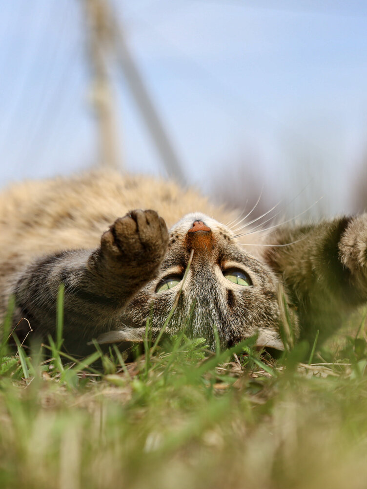 Photograph by Наиль Шакиров