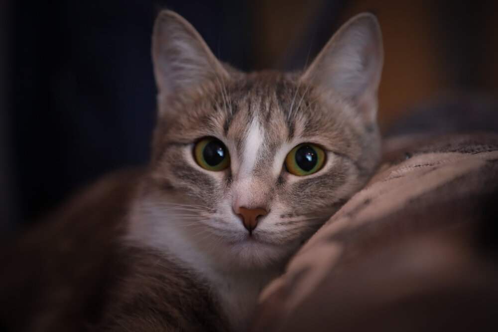 Photograph by Наиль Шакиров