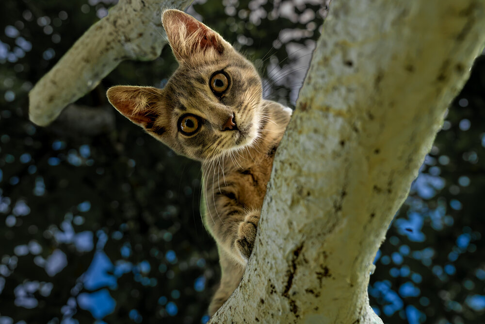 Photograph by Mustafa Sahin