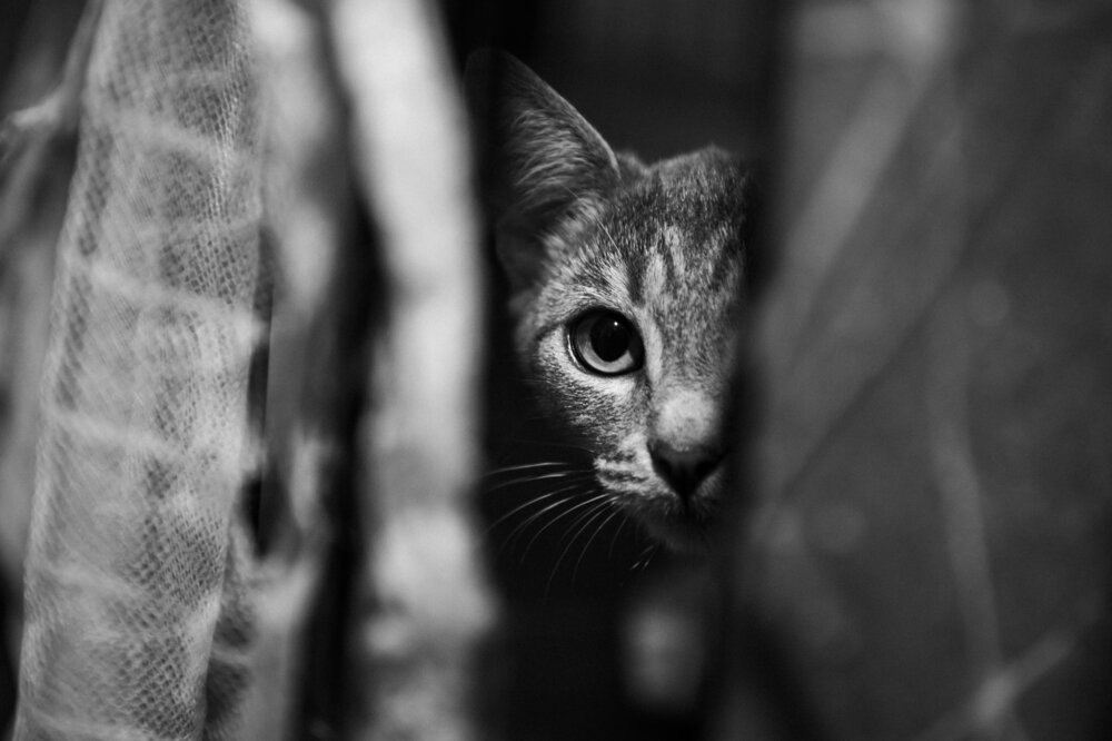 Photograph by Юлия Яровая