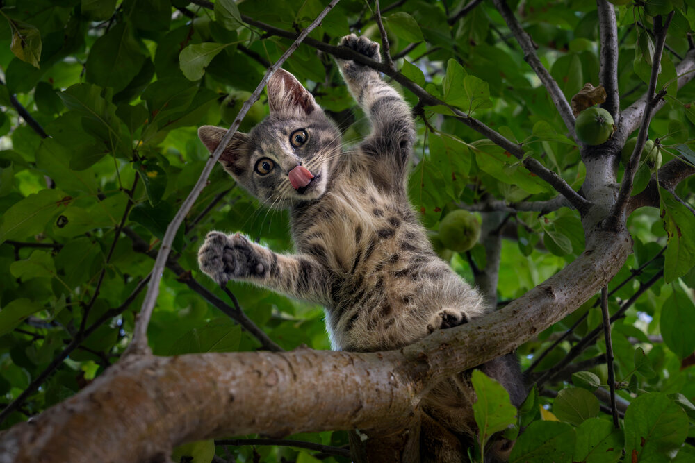 Photograph by Mustafa Sahin