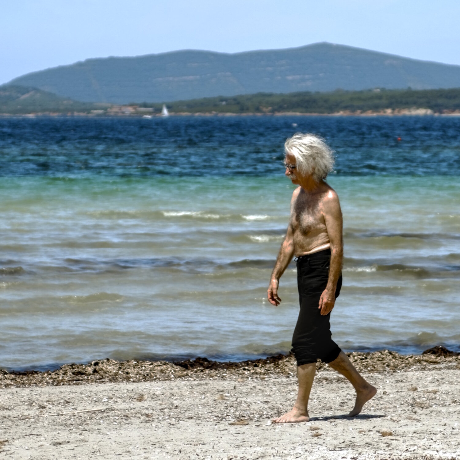 Photo #14029982