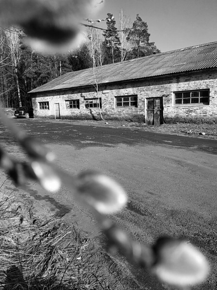 Фотография автора Людмила Емельянчикова