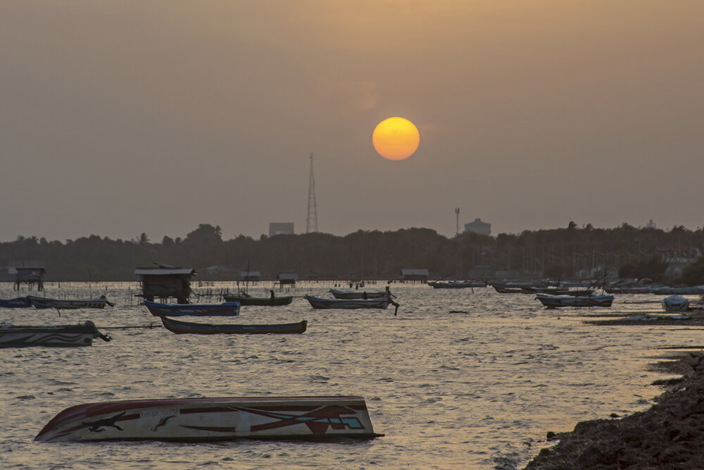 Photograph by Shreeharan Rajasingham