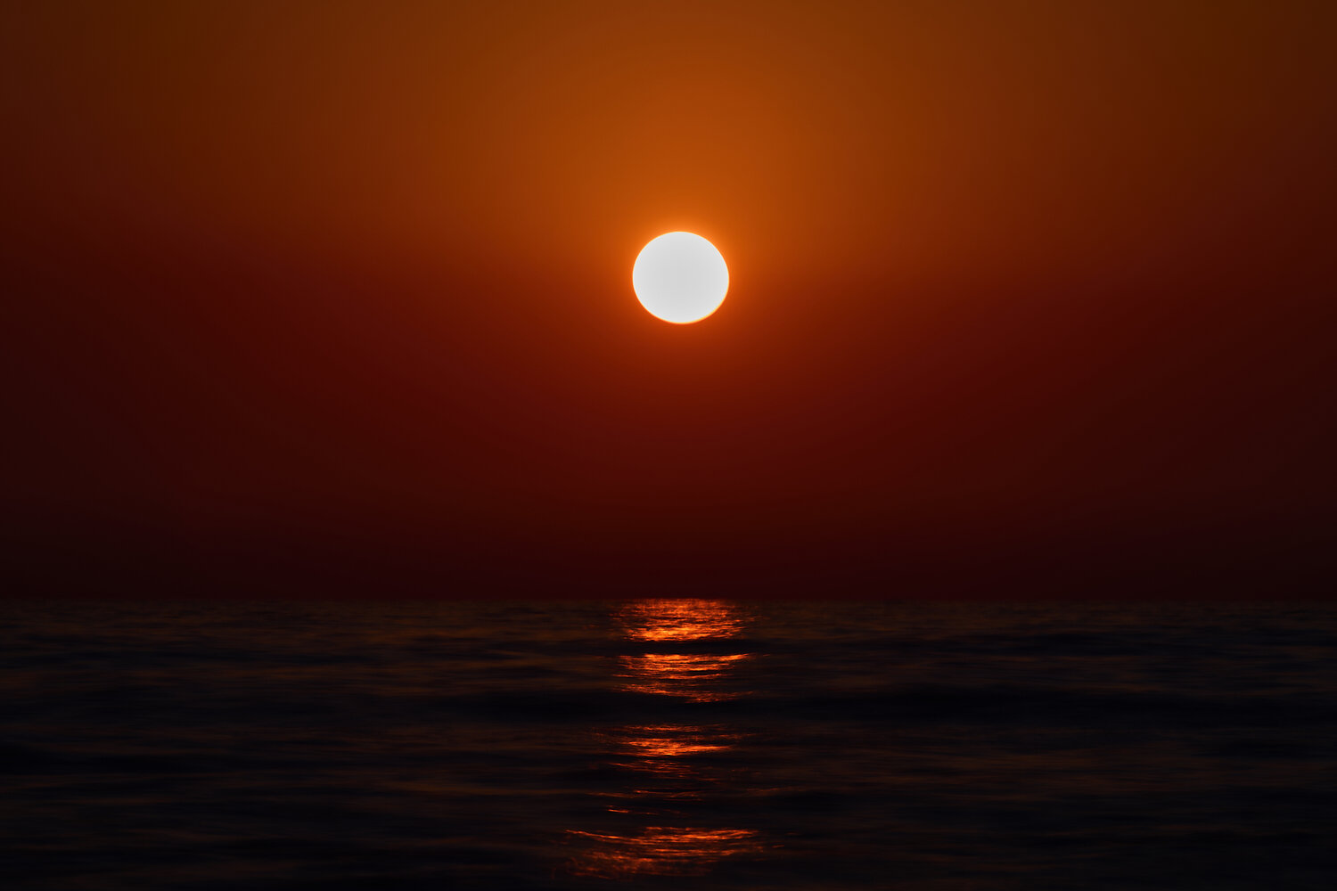 Photo #14030003