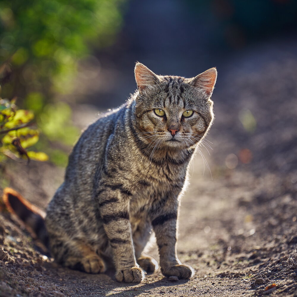 Photograph by Игорь Белов