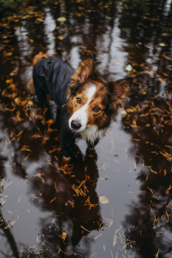 Photograph by Жаренко Евгения