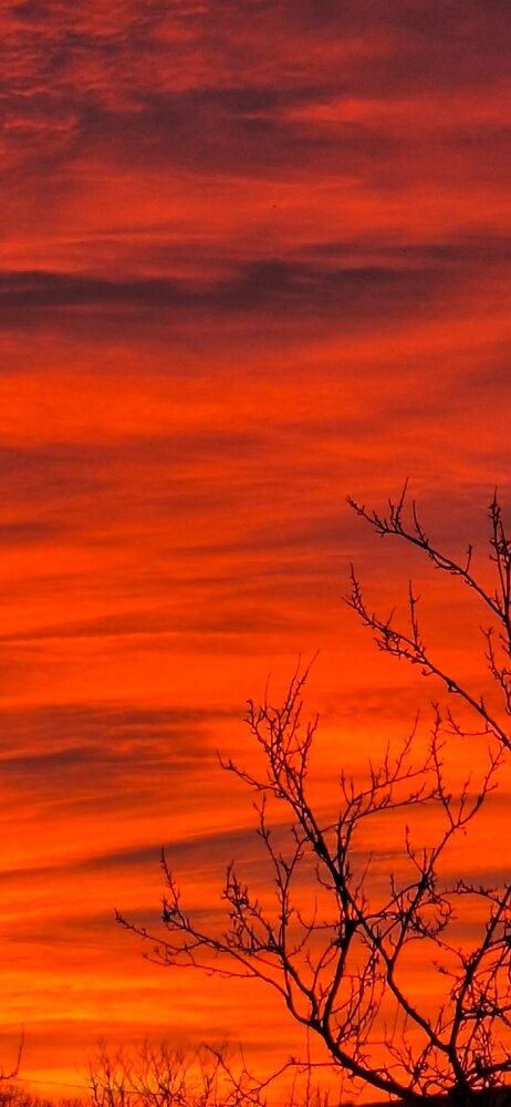 Photograph by Carmen Mihaela Chirila