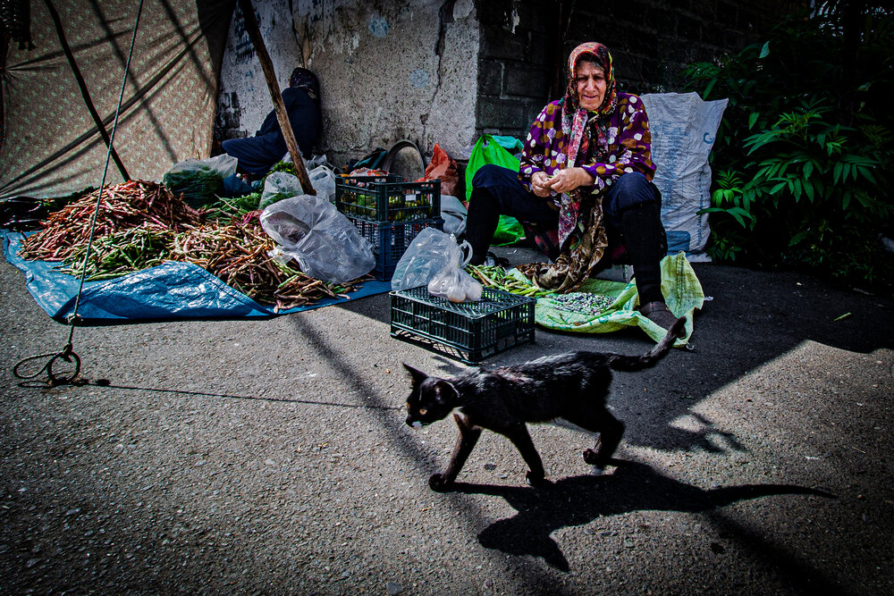 Photograph by amir ali navadeh shahla