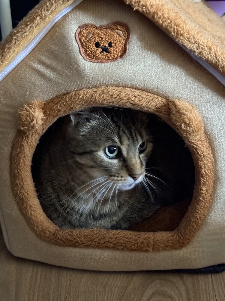 Фотография автора Марина Дикманн