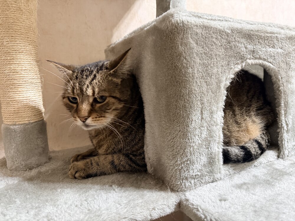 Фотография автора Марина Дикманн