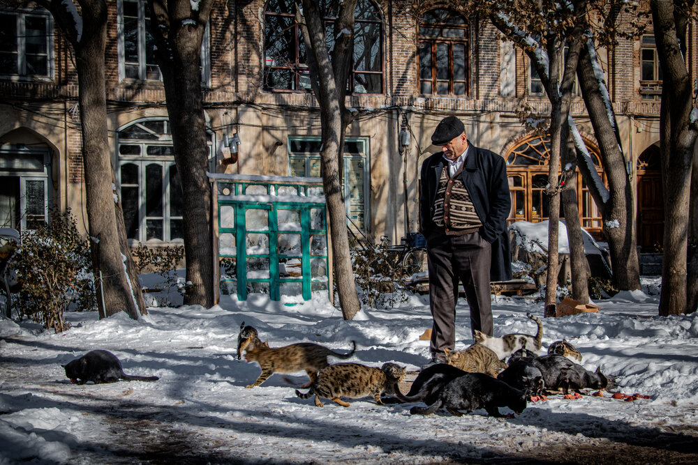 Photograph by amir ali navadeh shahla