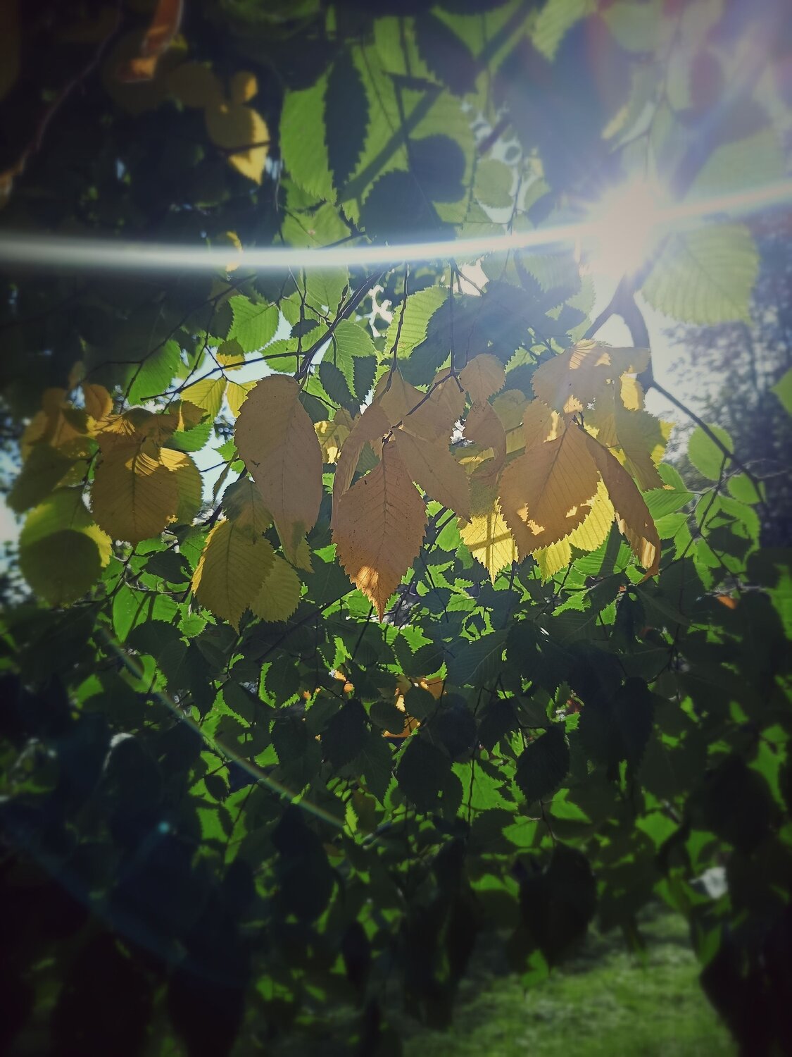 Photo #14030129