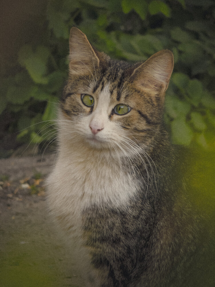 Photograph by Игорь Сухаревич