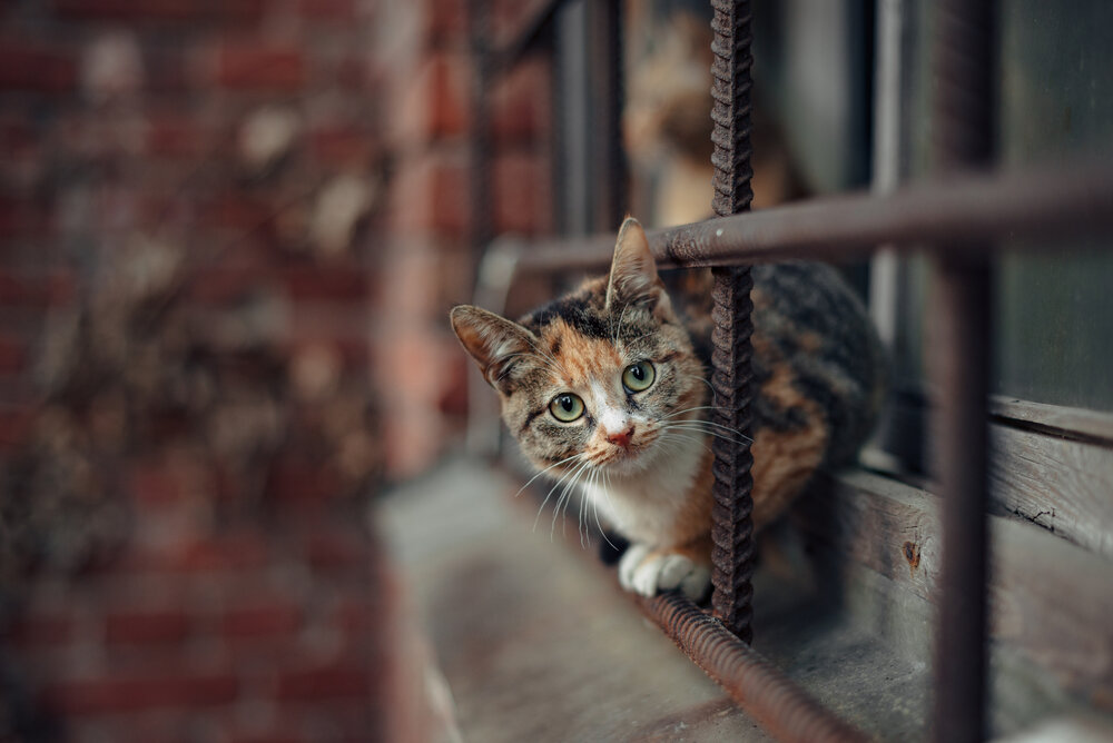 Photograph by Марина Петухова