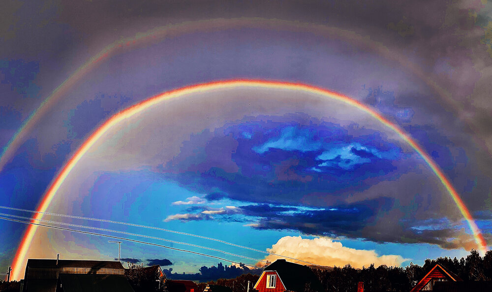 Фотография автора Ксения Абрамова