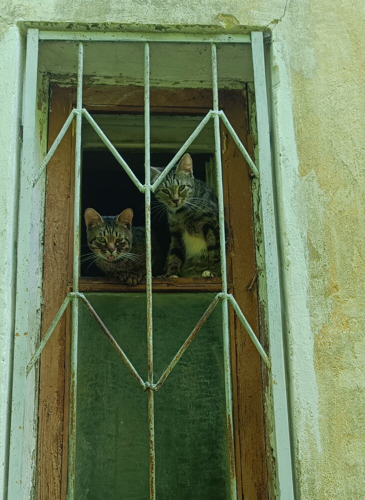 Фотография автора Евгений