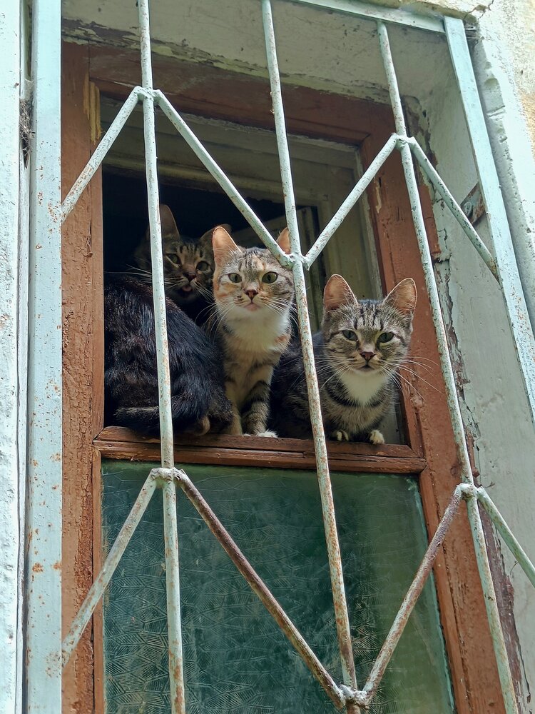 Фотография автора Евгений