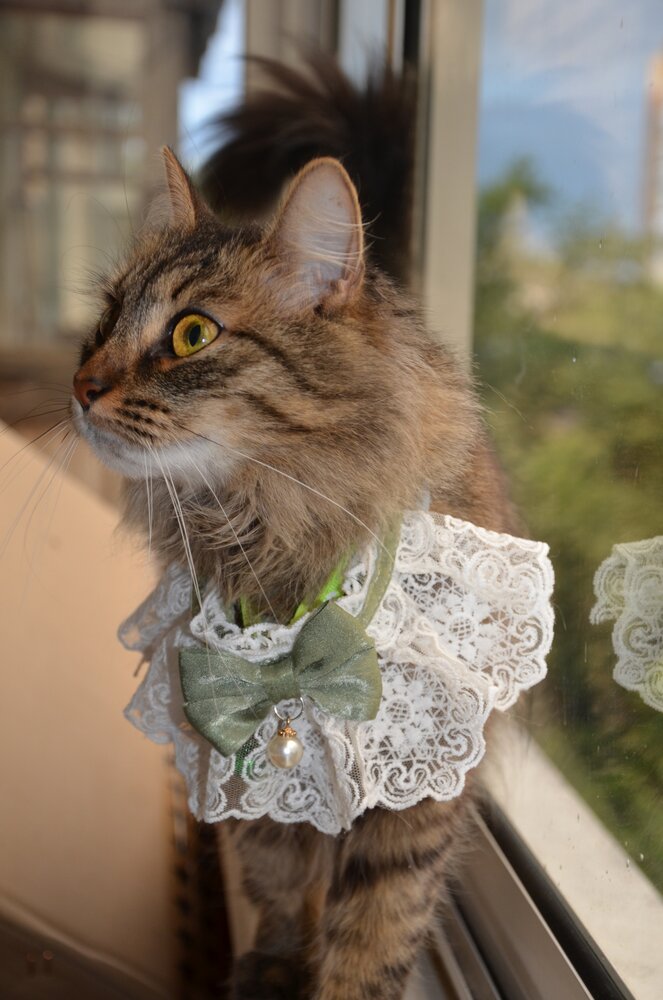Photograph by Мария Порываева