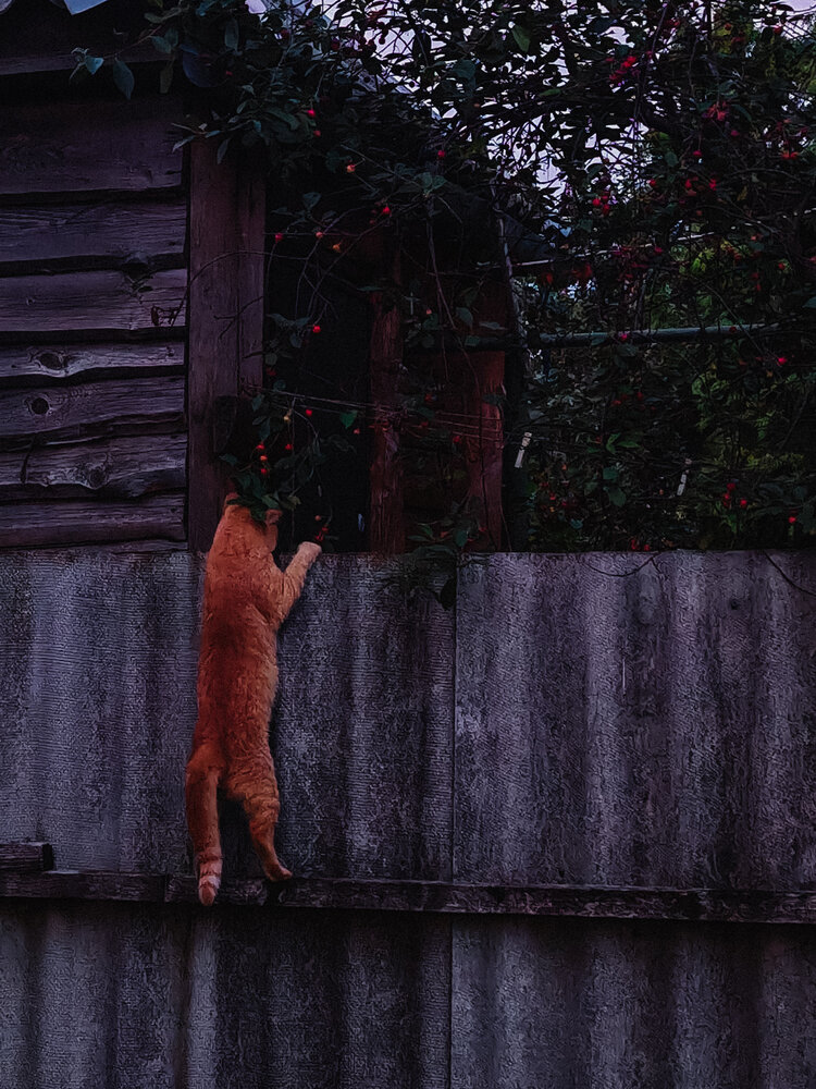 Photograph by Maria Stankevich
