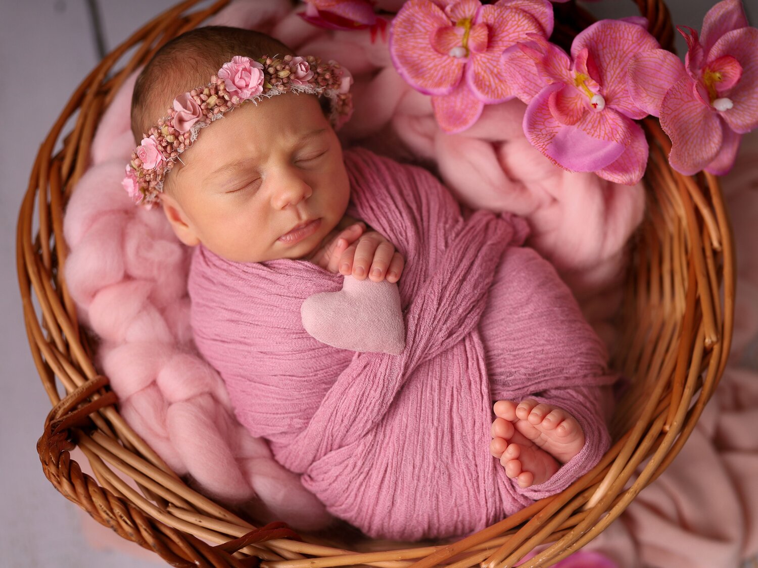 Photo #14030253