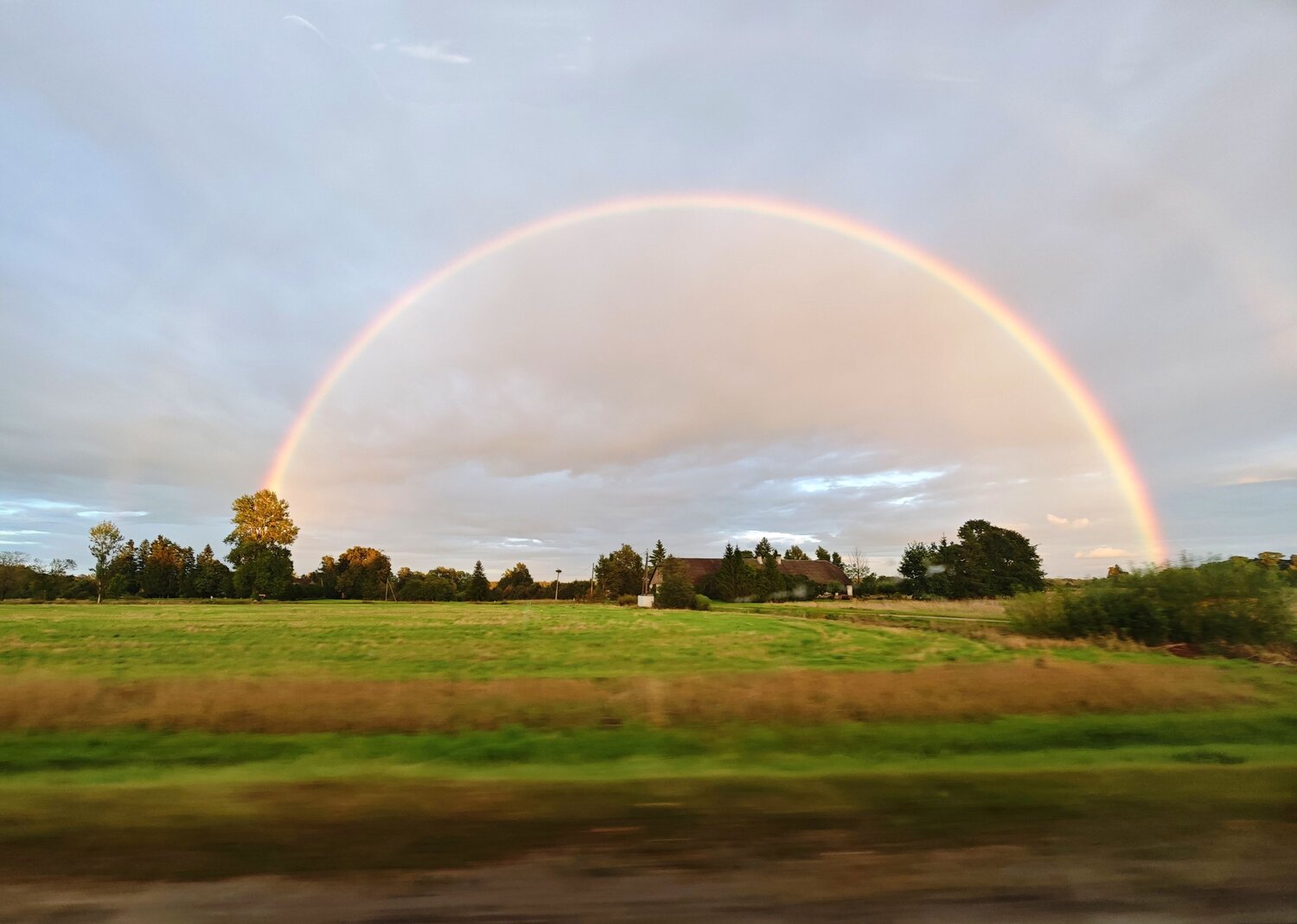 Photo #14030267