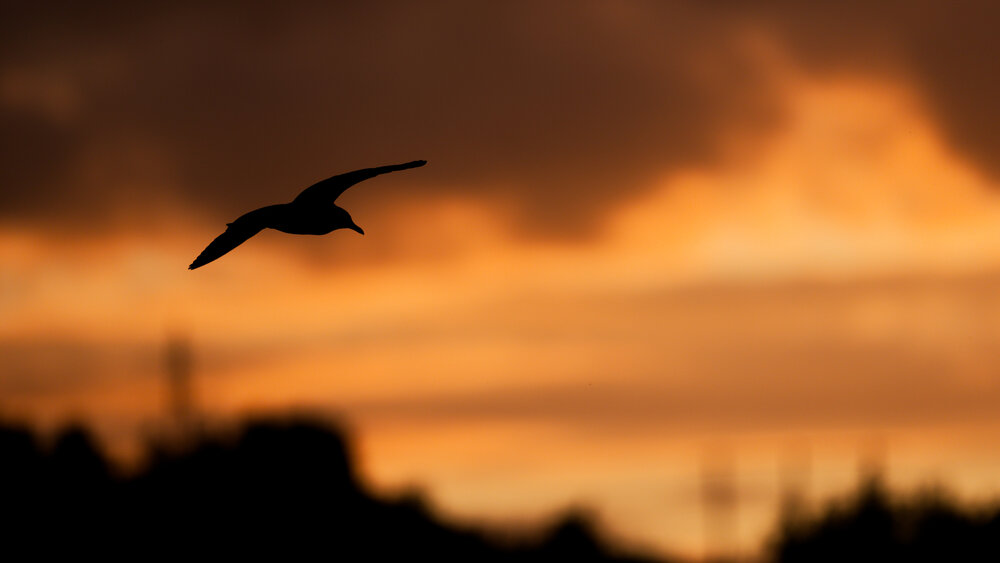 Photograph by Jørgen Hovde